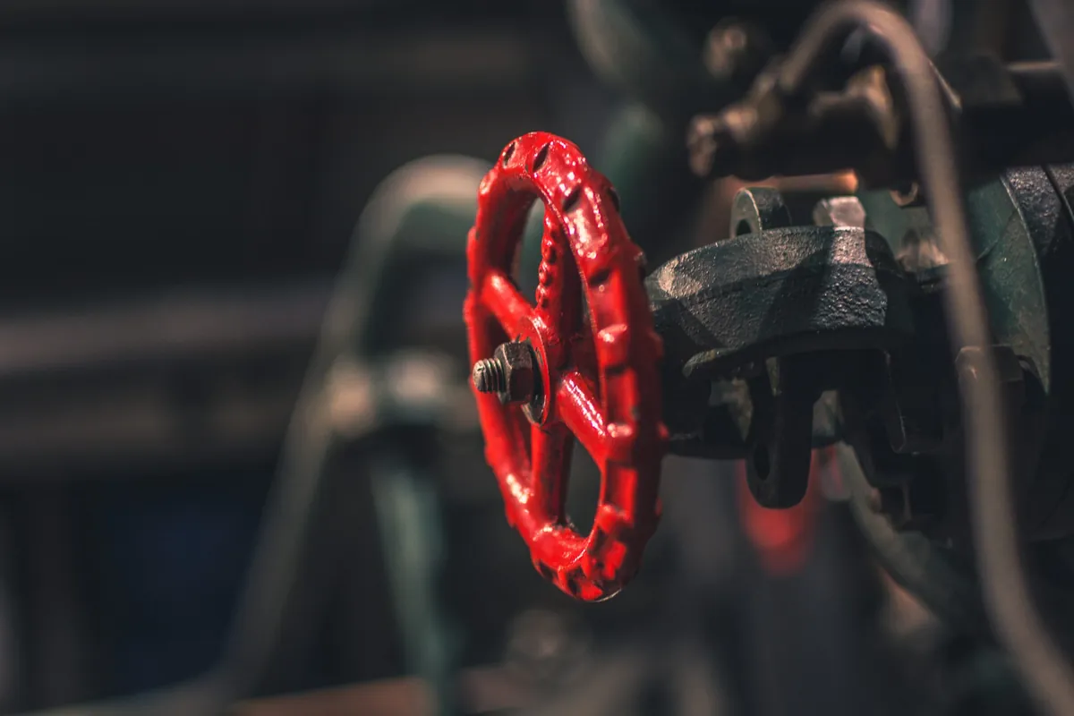 Red industrial handwheel valve in a plant