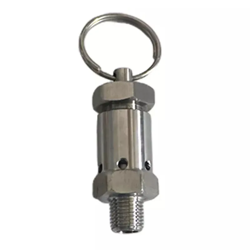 Stainless steel mini safety valve