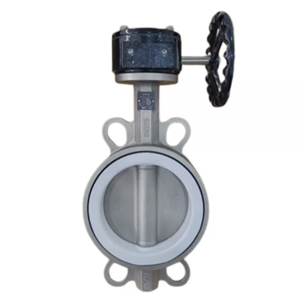 Wafer Butterfly Valve with Gear Box