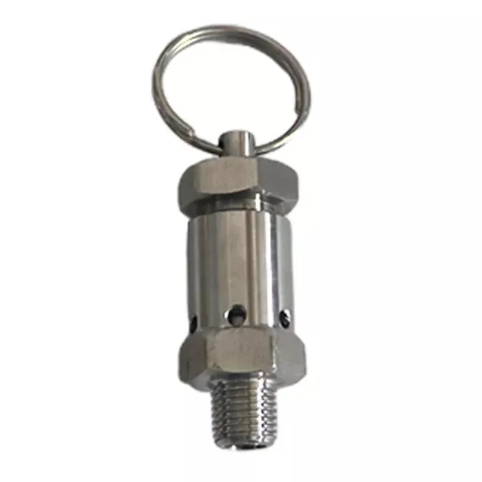 Stainless steel mini safety valve
